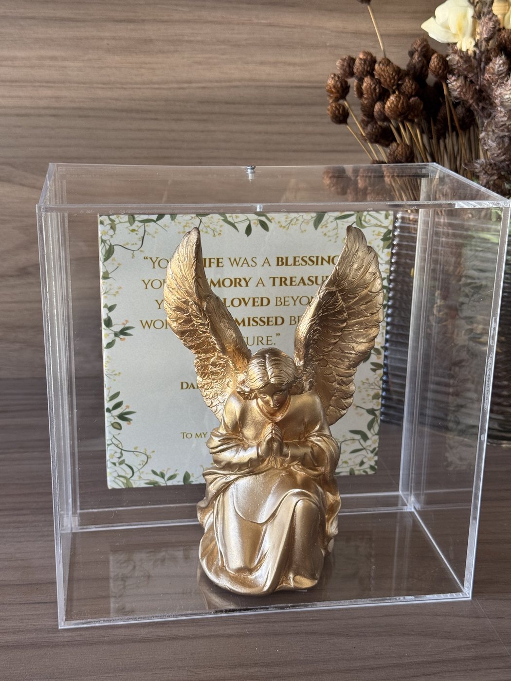 Anjo do Senhor