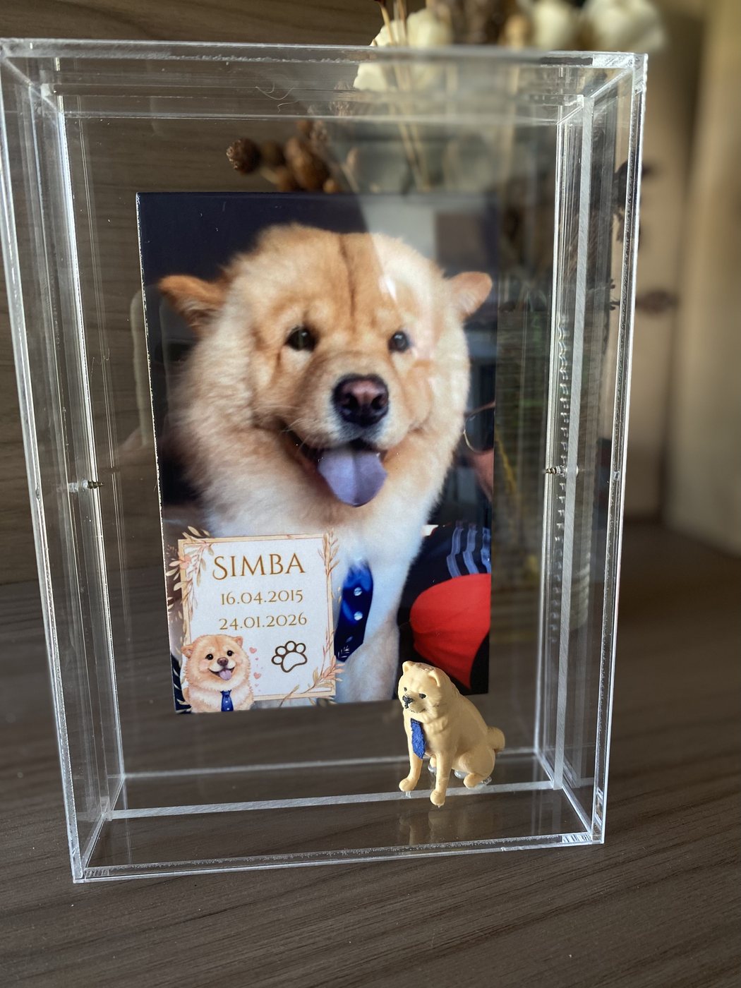 Simba