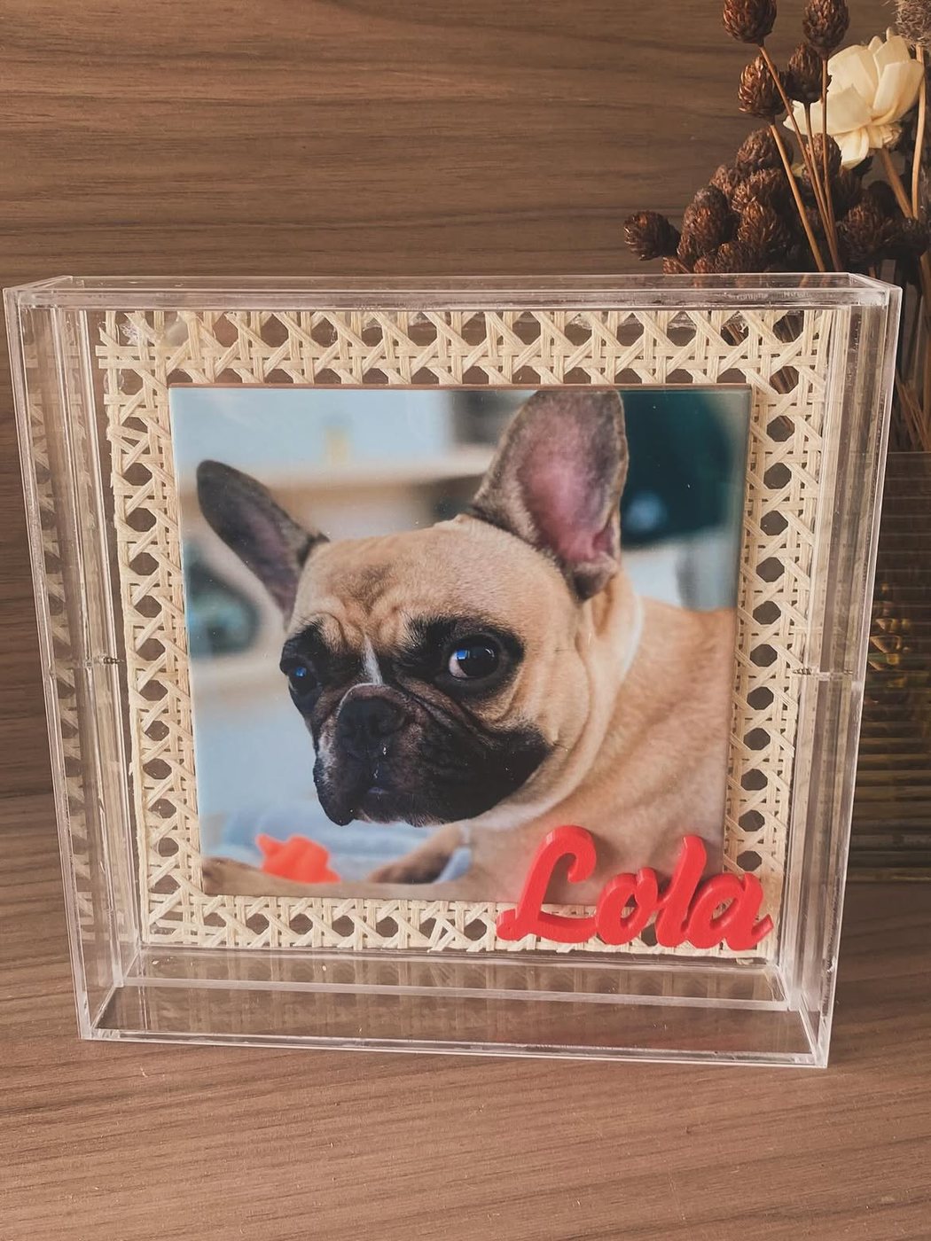 Self Dog